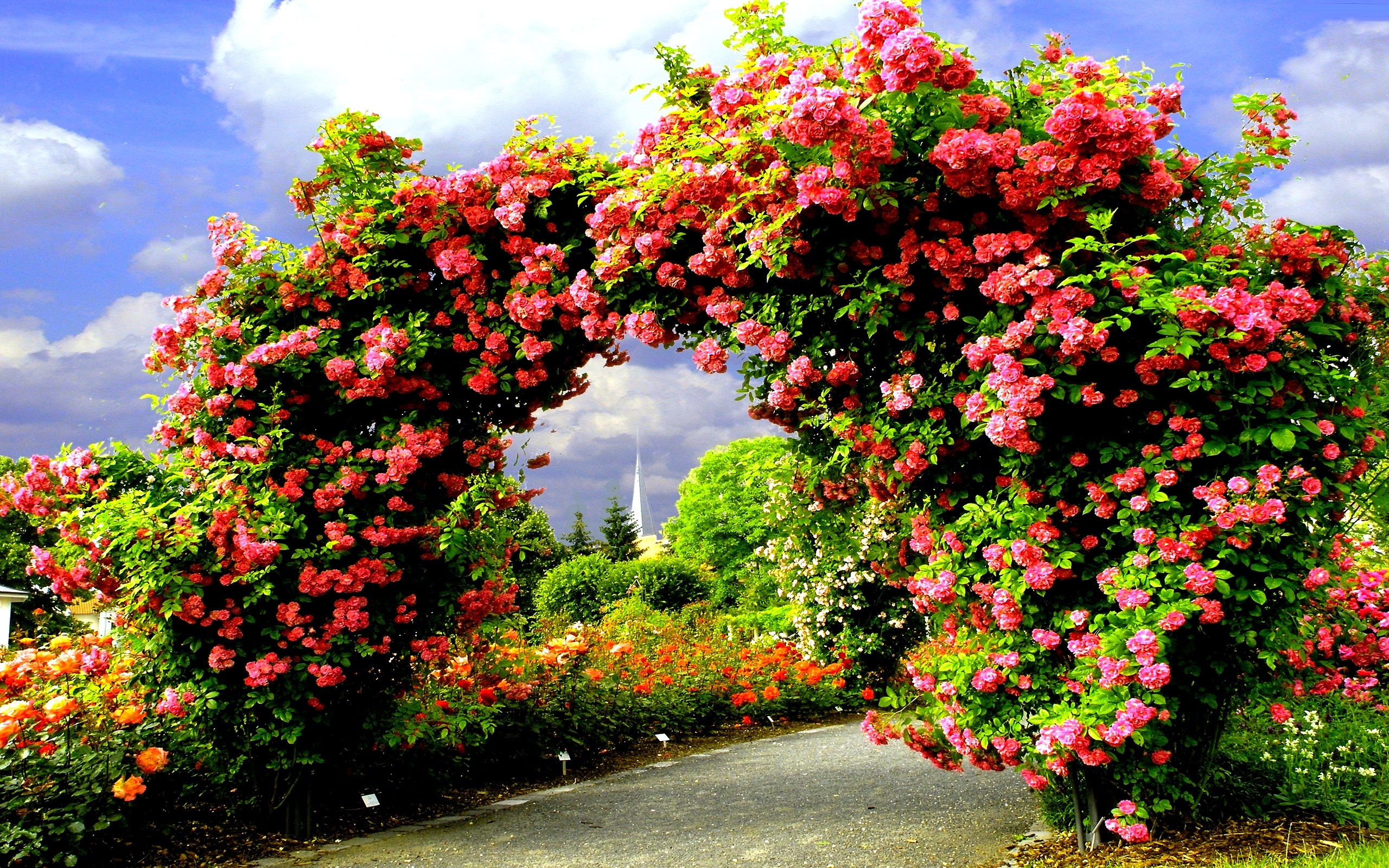 flower arch background