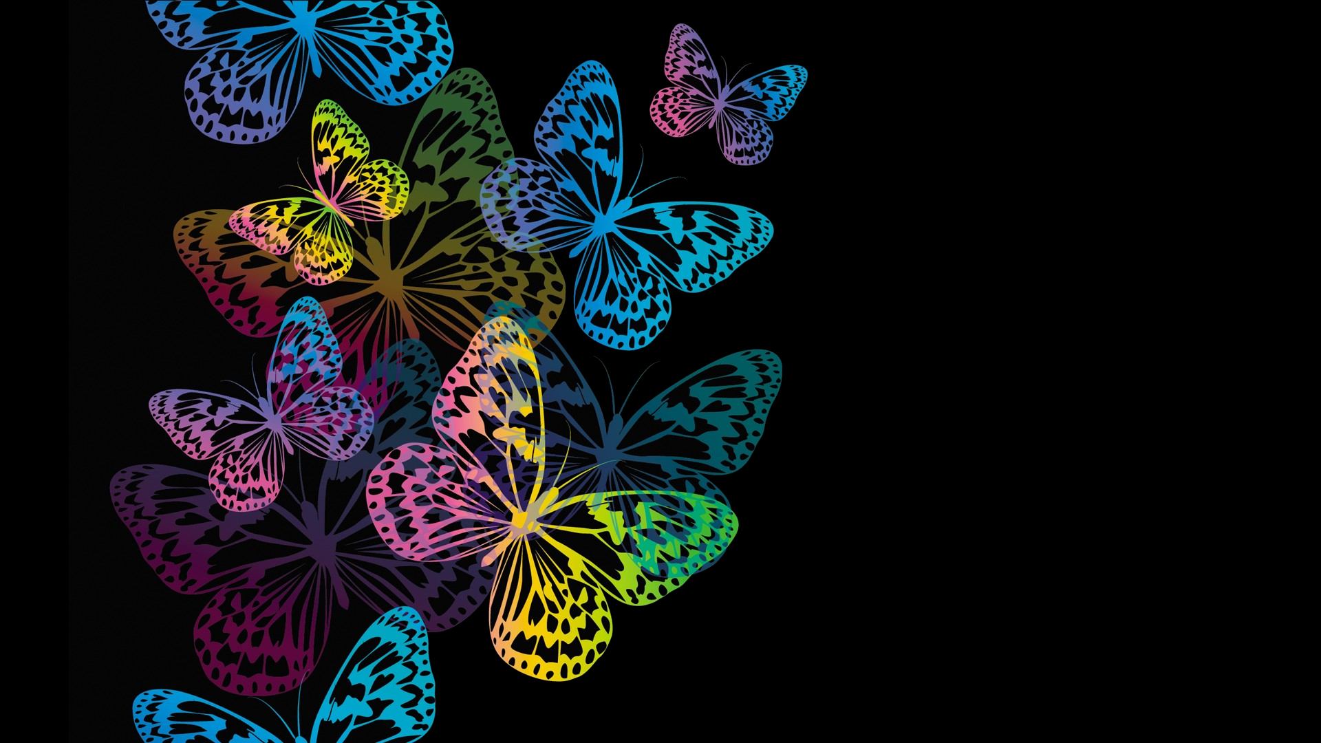 colorful butterfly backgrounds wallpaper