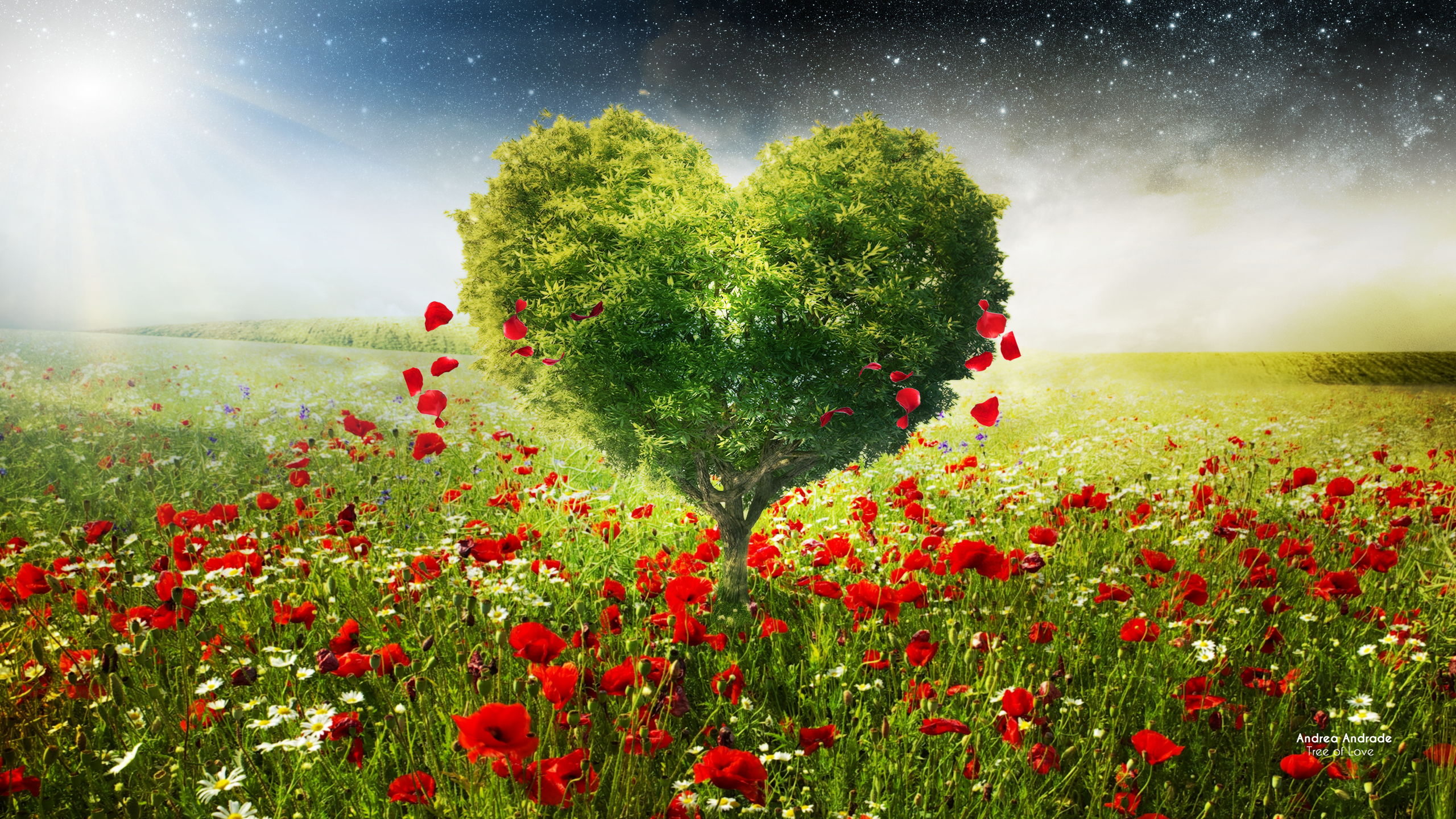 Cây tình yêu (Tree of Love): Cây tình yêu là biểu tượng của tình yêu vô tận và sự kết nối mãi mãi giữa hai người. Hãy để hình ảnh cây tình yêu đưa bạn đến những cung đường lãng mạn và cảm nhận tình yêu đích thực.
