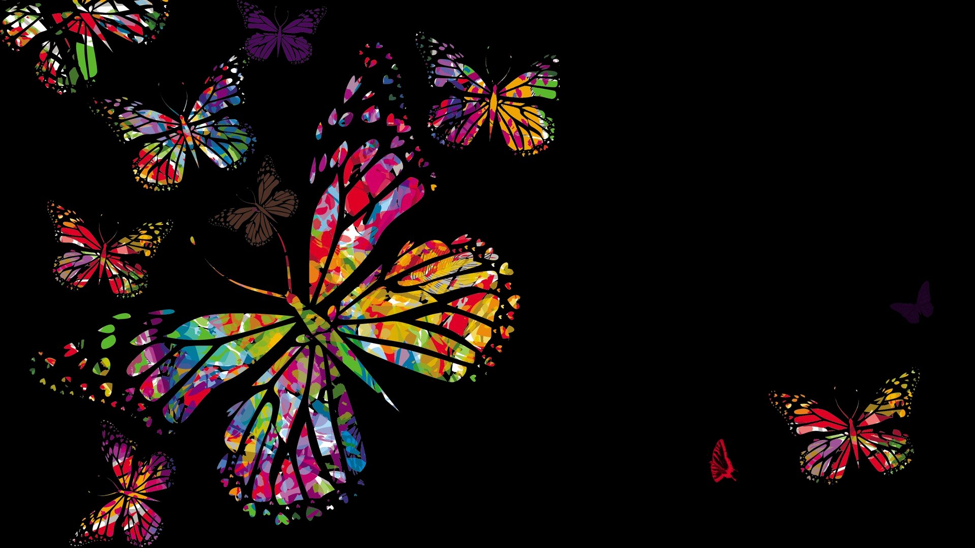 Рисунки на фон телефона. Бабочка на темном фоне. Разноцветные бабочки. Бабочка яркая на черном фоне. Бабочки на черном фоне.