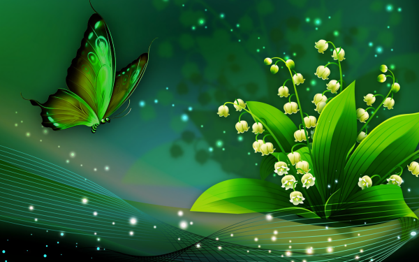 Artistic Flower Flowers Lily Of The Valley Butterfly Green HD Wallpaper | Background Image