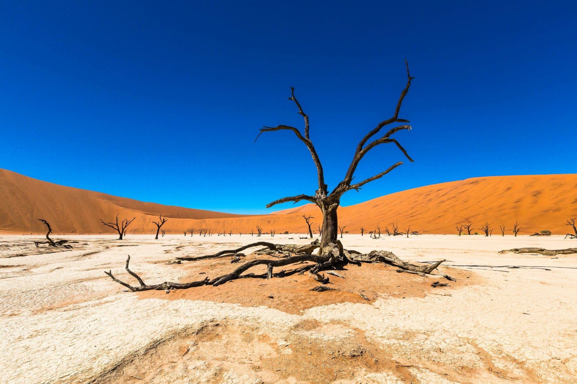 Download Nature Desert HD Wallpaper