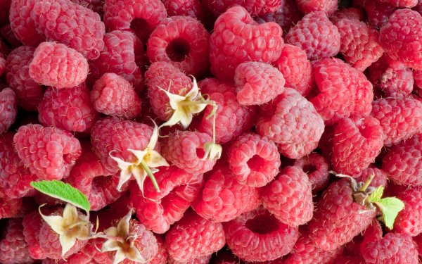 Food Raspberry Fruits Berry Fruit HD Wallpaper | Background Image