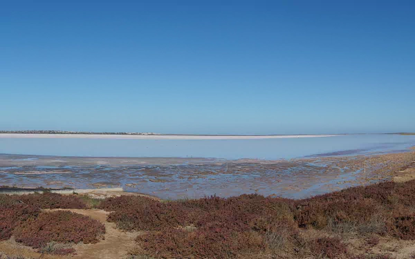  Hutt_Lagoon,_Western_Australia