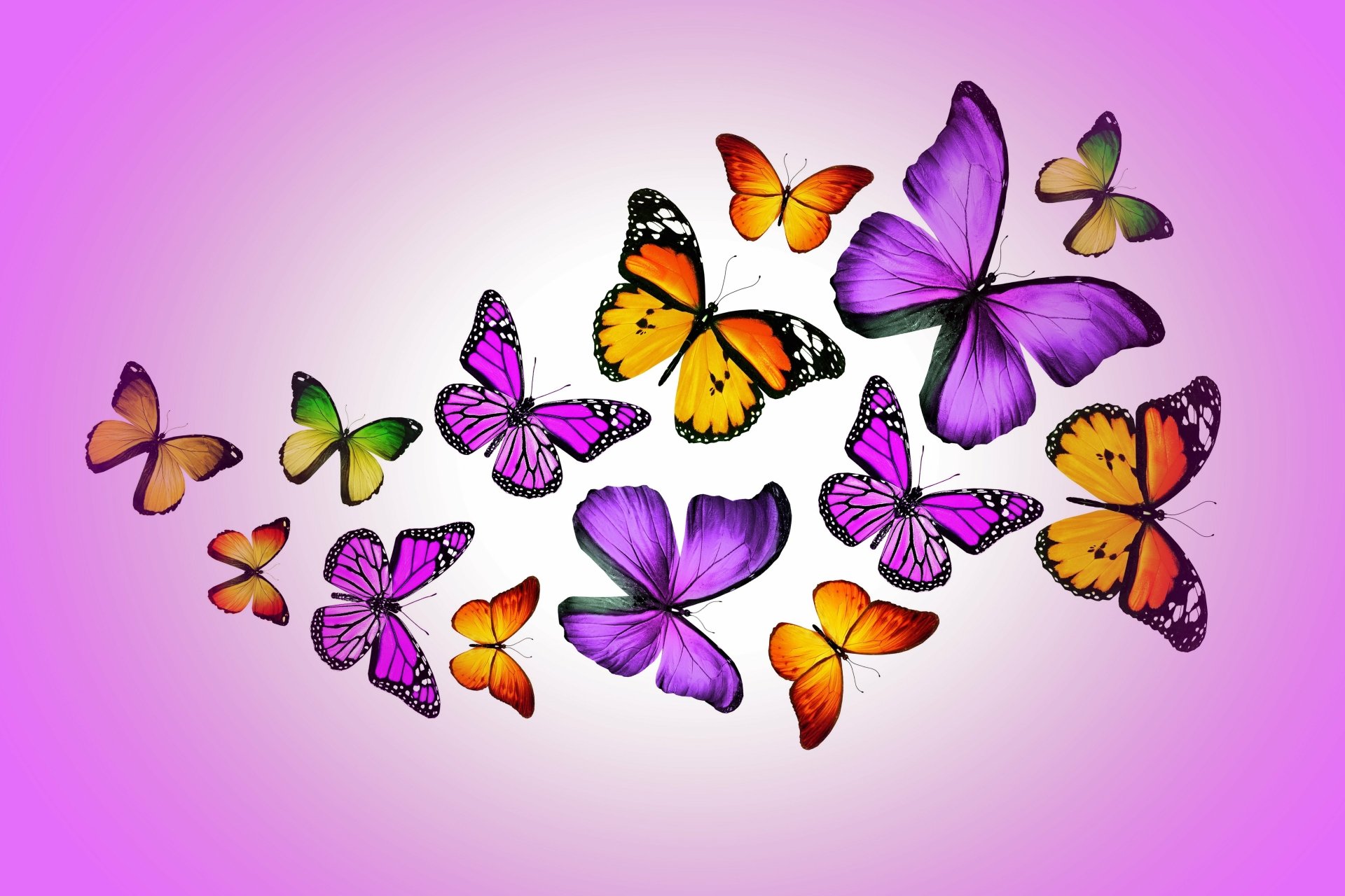 Download Colorful Colors Artistic Butterfly 4k Ultra HD Wallpaper