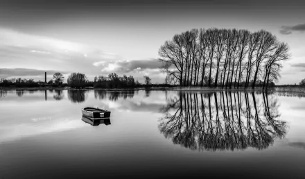 Black and white 4K Ultra HD photography of a lone boat on calm water reflecting a row of tall trees, creating a serene and symmetrical desktop wallpaper background.