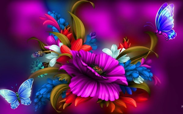 Artistic Spring Flower Colors Colorful Butterfly HD Wallpaper | Background Image