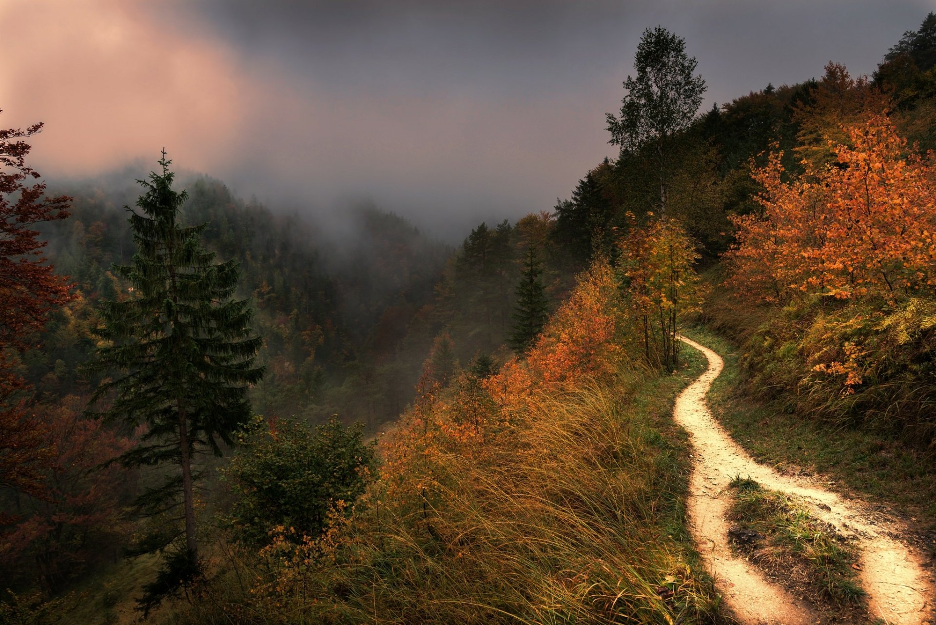Download Landscape Fog Nature Forest Path HD Wallpaper | 2048x1367 ...