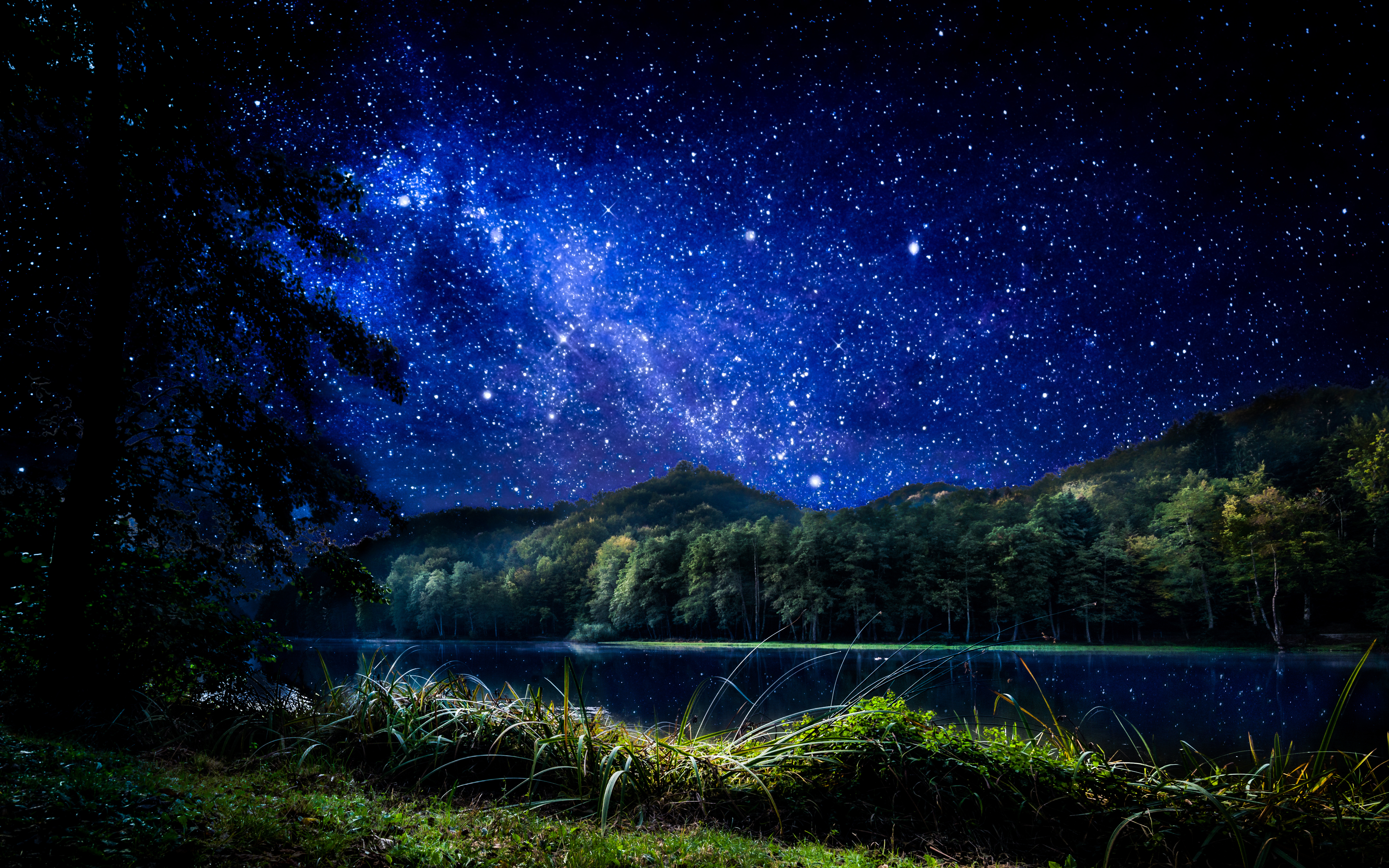 Nature Night HD Wallpaper | Background Image