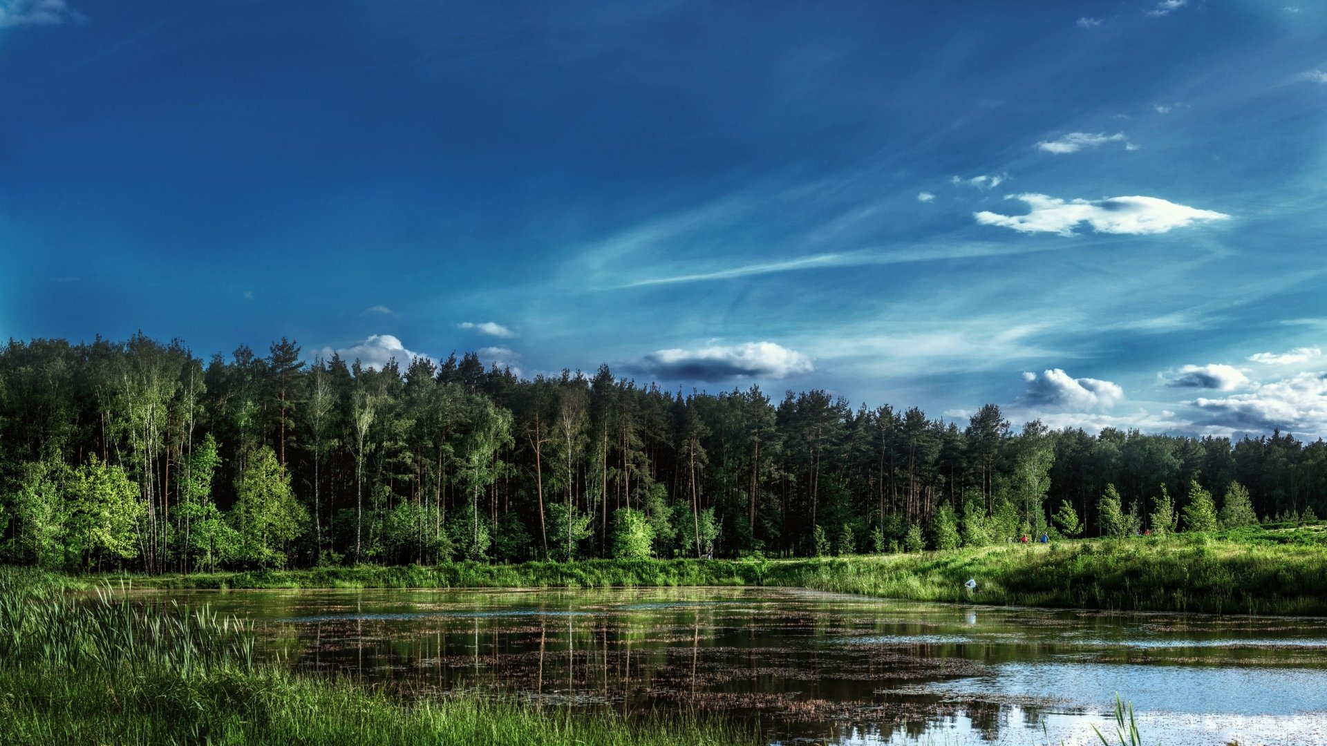 Moscow park by vinilgod