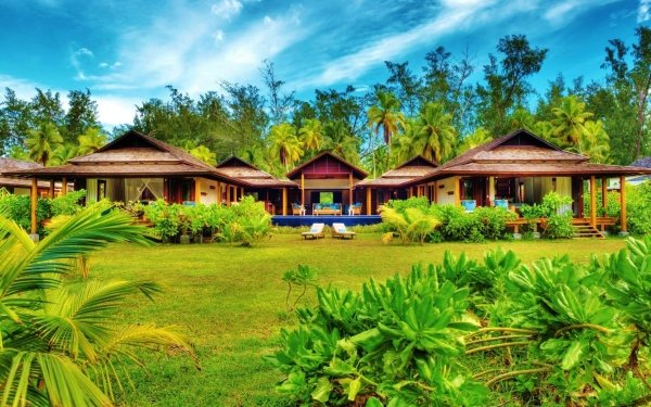 Man Made Resort Palm Tree Cabin HD Wallpaper | Background Image