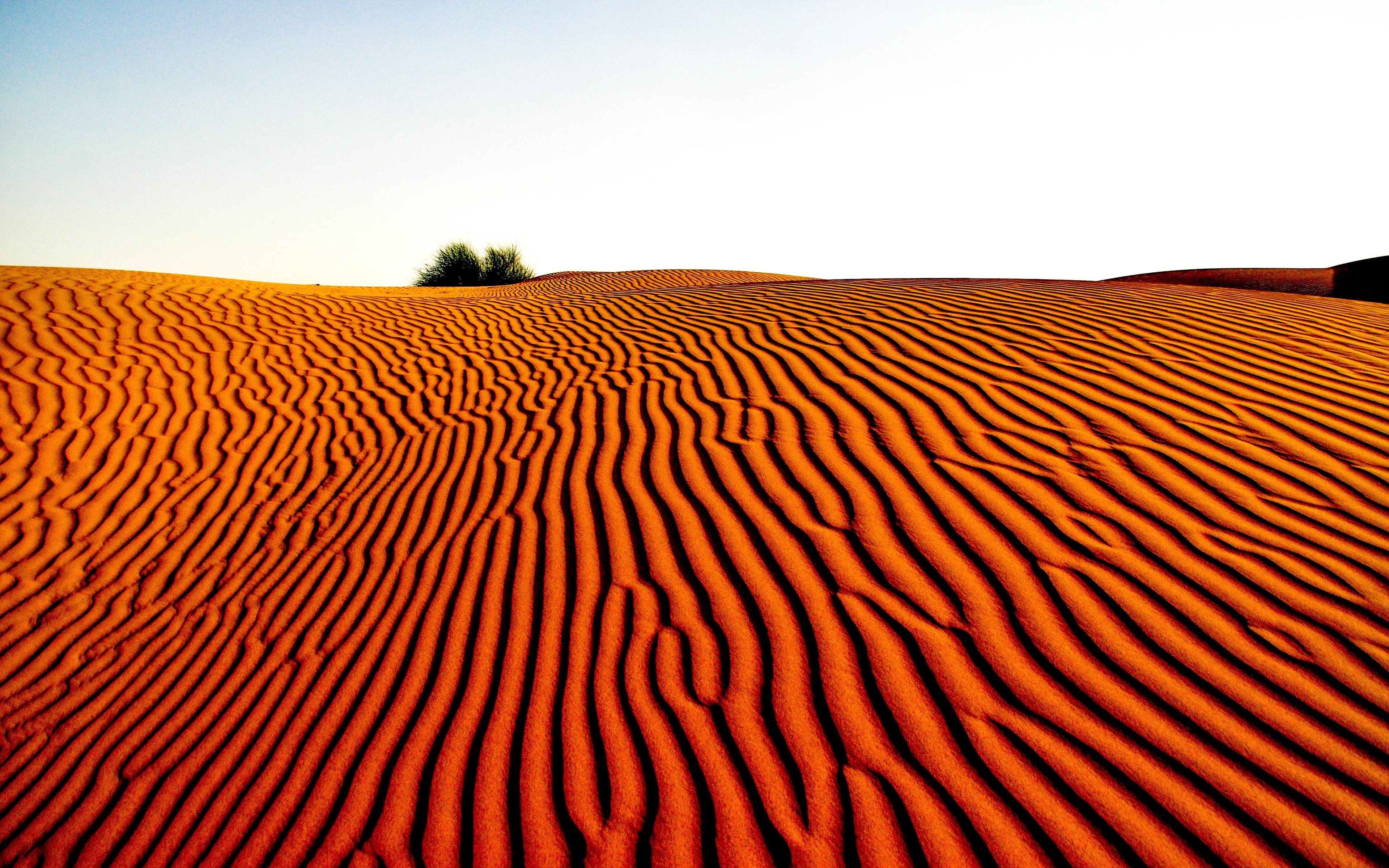 Desert 4k Ultra HD Wallpaper | Background Image | 3840x2400