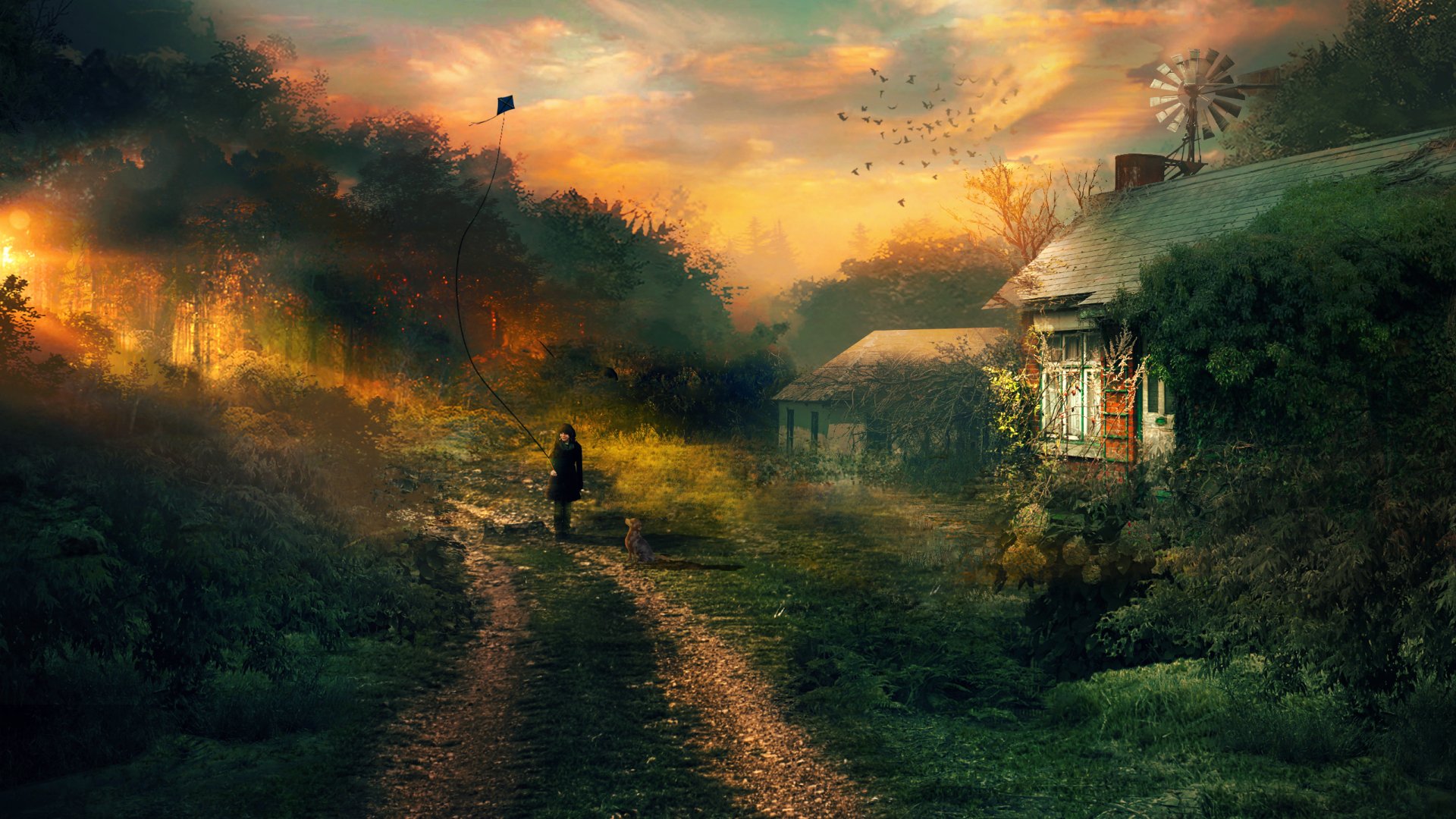 Download Fantasy Forest HD Wallpaper by Martina Stipan | 2560x1440 ...