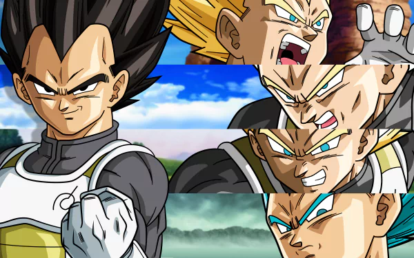 HD desktop wallpaper featuring Vegeta from Dragon Ball Super in various action poses against vivid, colorful backgrounds.