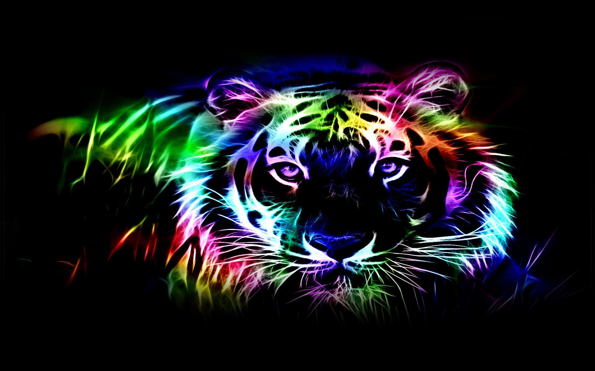 cool animals cool animals wallpapers