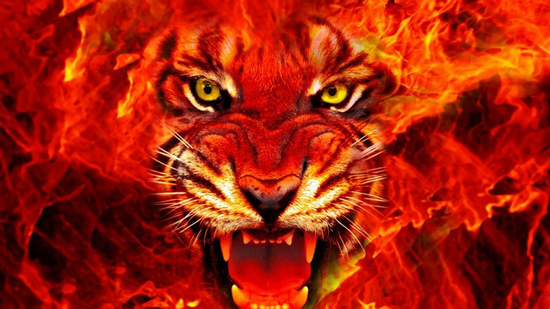 Download Fire Animal Tiger HD Wallpaper