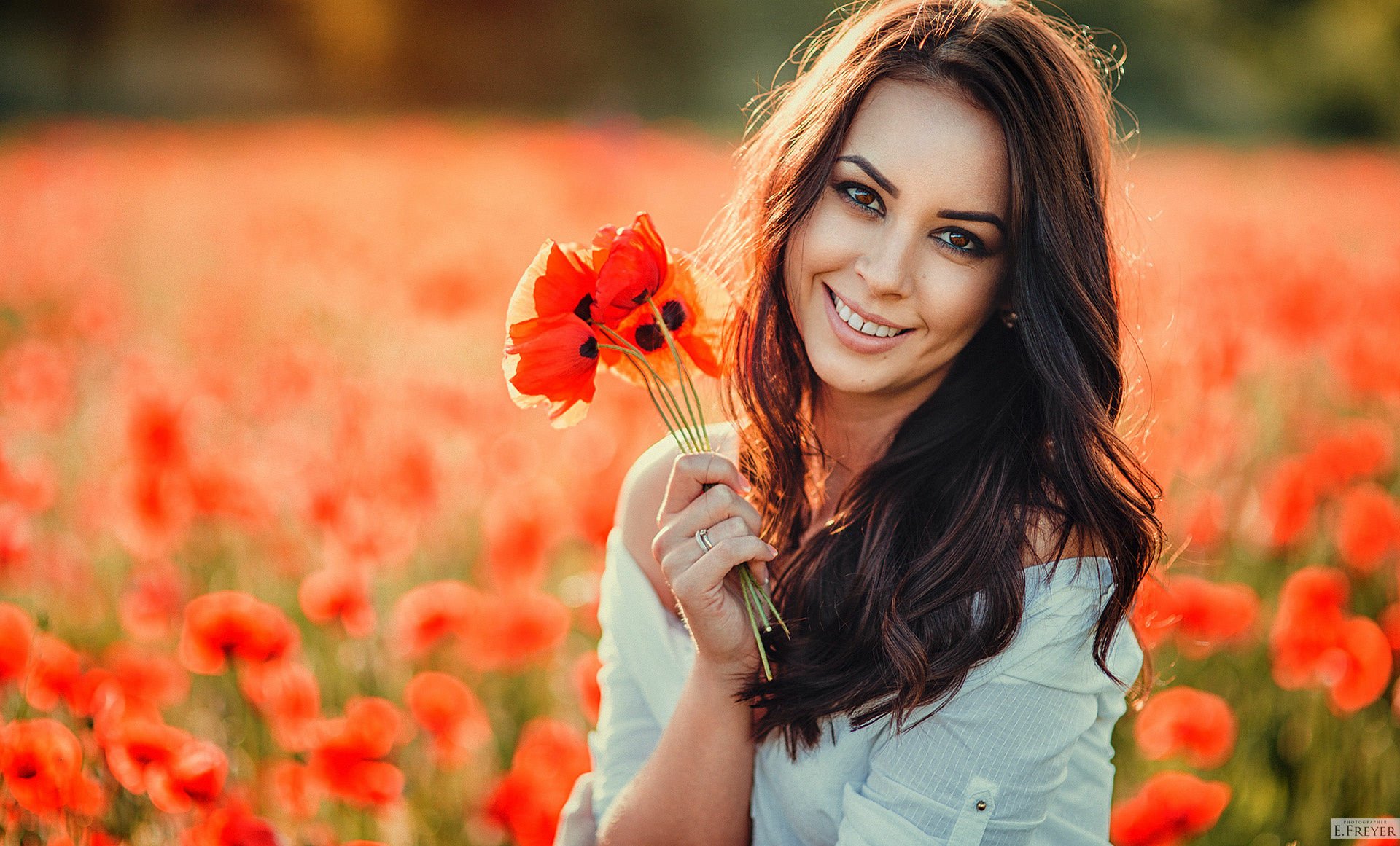 A brunette woman with brown eyes smiles while holding red poppies in an outdoor field, depicted in an HD desktop wallpaper. Blurred background highlights the vibrant flowers.