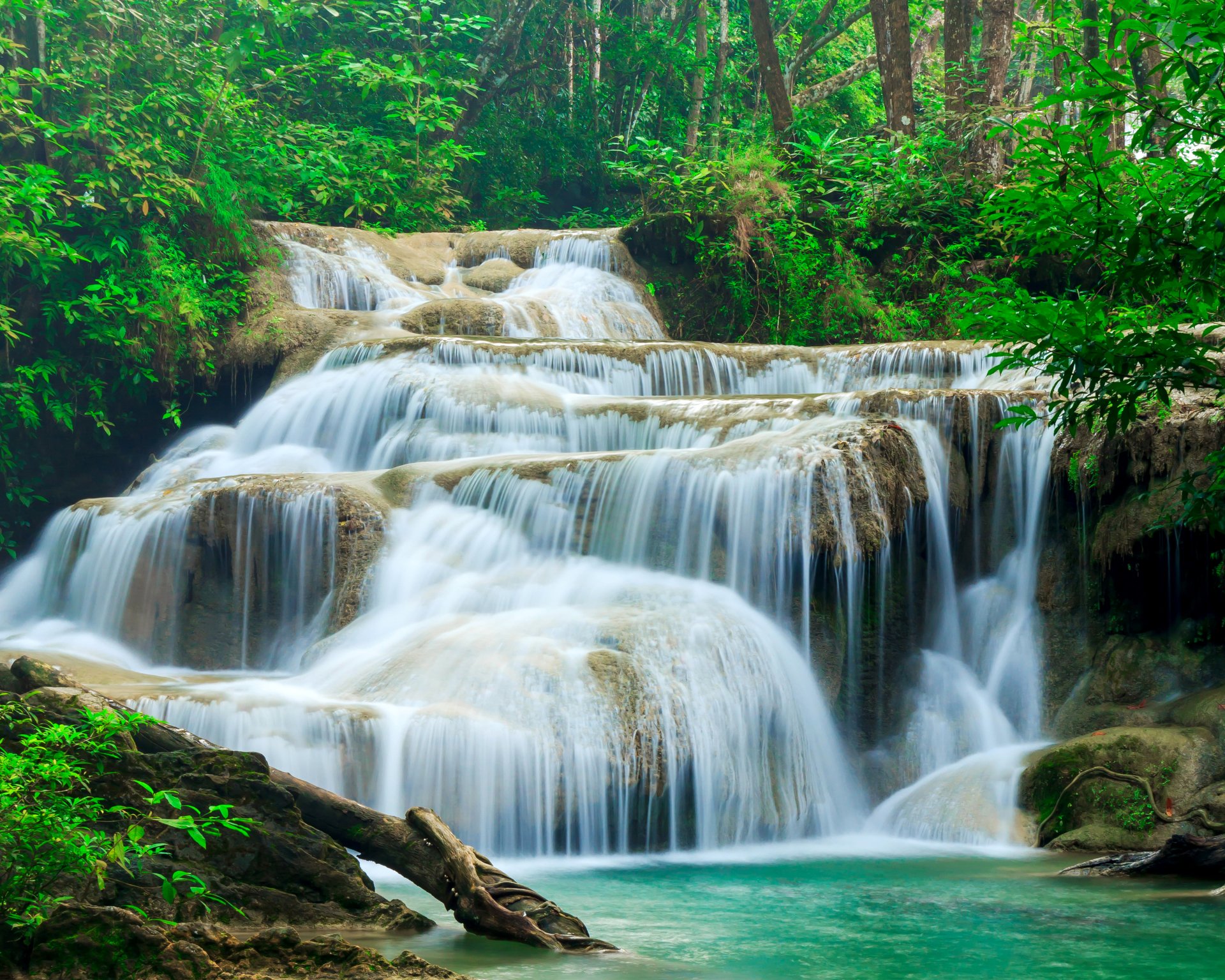 Download Green Forest Thailand Nature Waterfall 4k Ultra HD Wallpaper