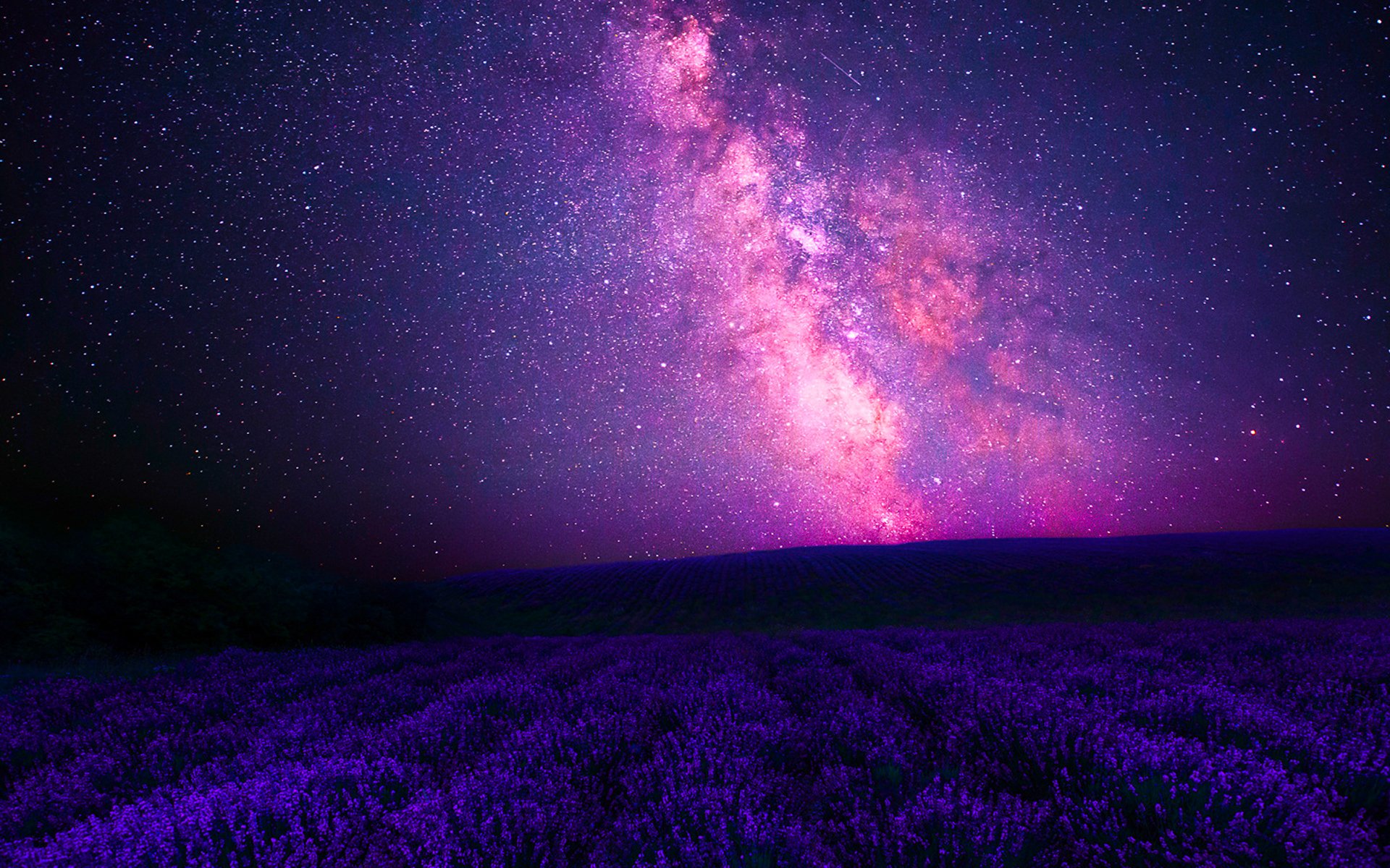 Lavender space