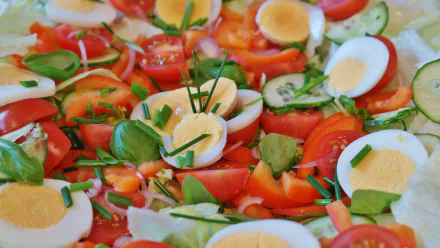 Close-up of a fresh lunch salad with sliced cucumbers, tomatoes, and boiled eggs, captured in vivid 4K Ultra HD quality for a PC desktop wallpaper.