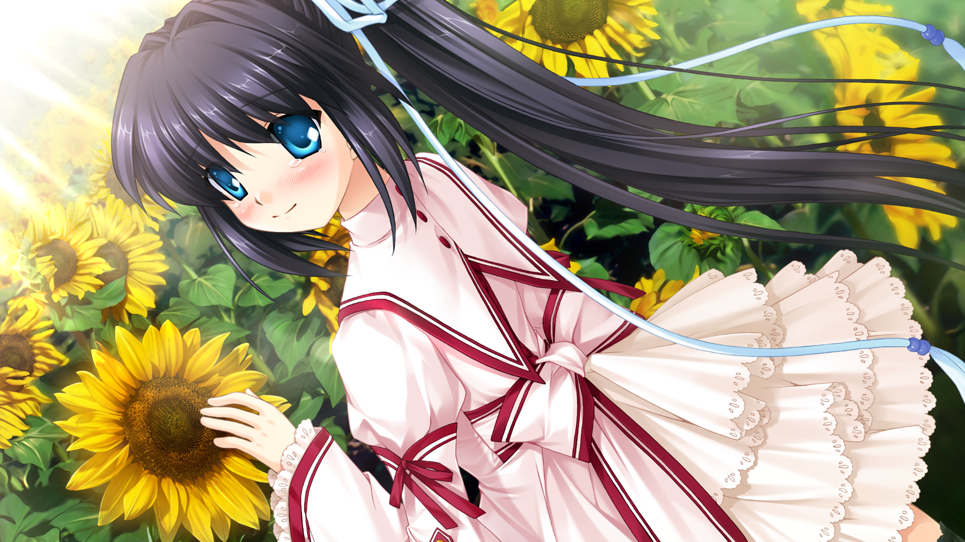 Lucia Konohana from the anime Rewrite stands amidst vibrant sunflowers, her long dark hair flowing, captured in this HD PC desktop wallpaper and background.