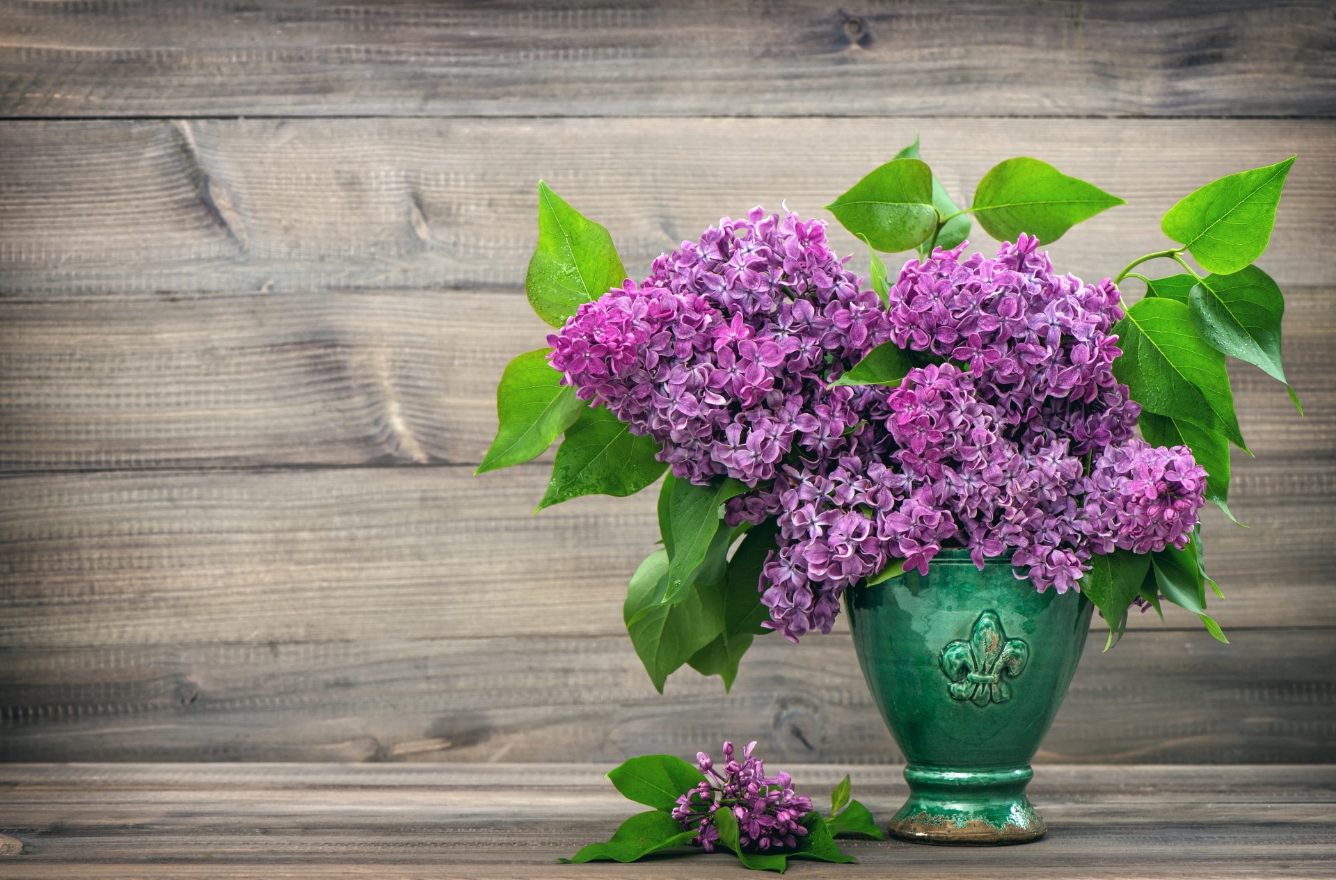 Download Purple Flower Vase Lilac Still Life Man Made Flower 4k Ultra ...