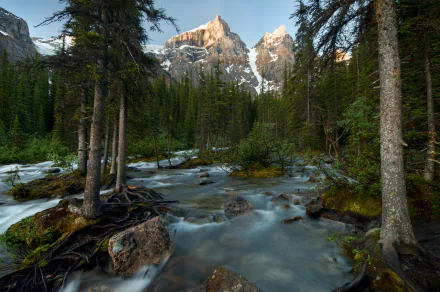 A serene scene in Banff National Park, showcasing majestic mountains, lush forests, and a tranquil stream, capturing the beauty of nature in Canada.