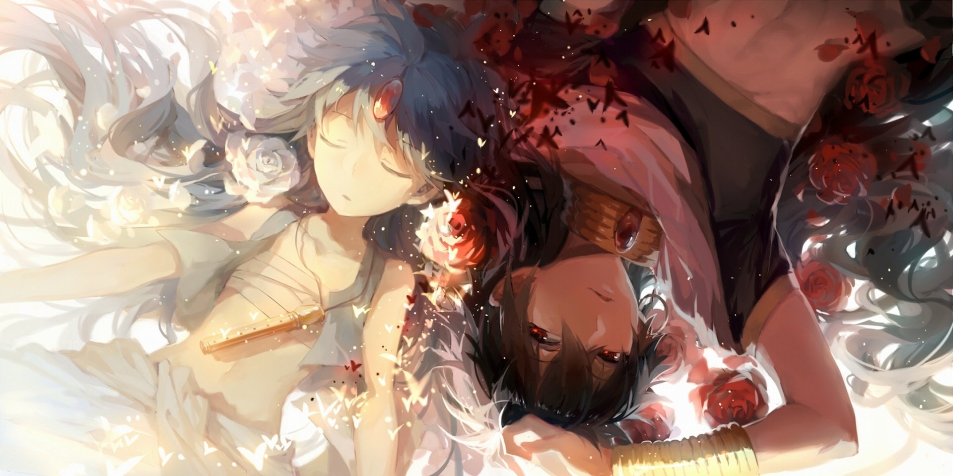 HD wallpaper featuring Aladdin and Judar from the anime Magi: The Labyrinth of Magic. The characters are depicted together surrounded by roses and magical elements.