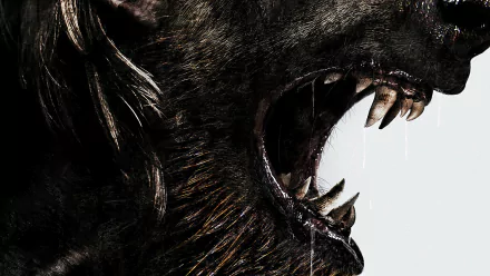 movie Uncaged HD Desktop Wallpaper | Background Image