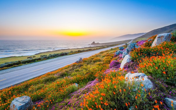Man Made Road Coast Ocean Sea Flower Coastline Horizon HD Wallpaper | Background Image