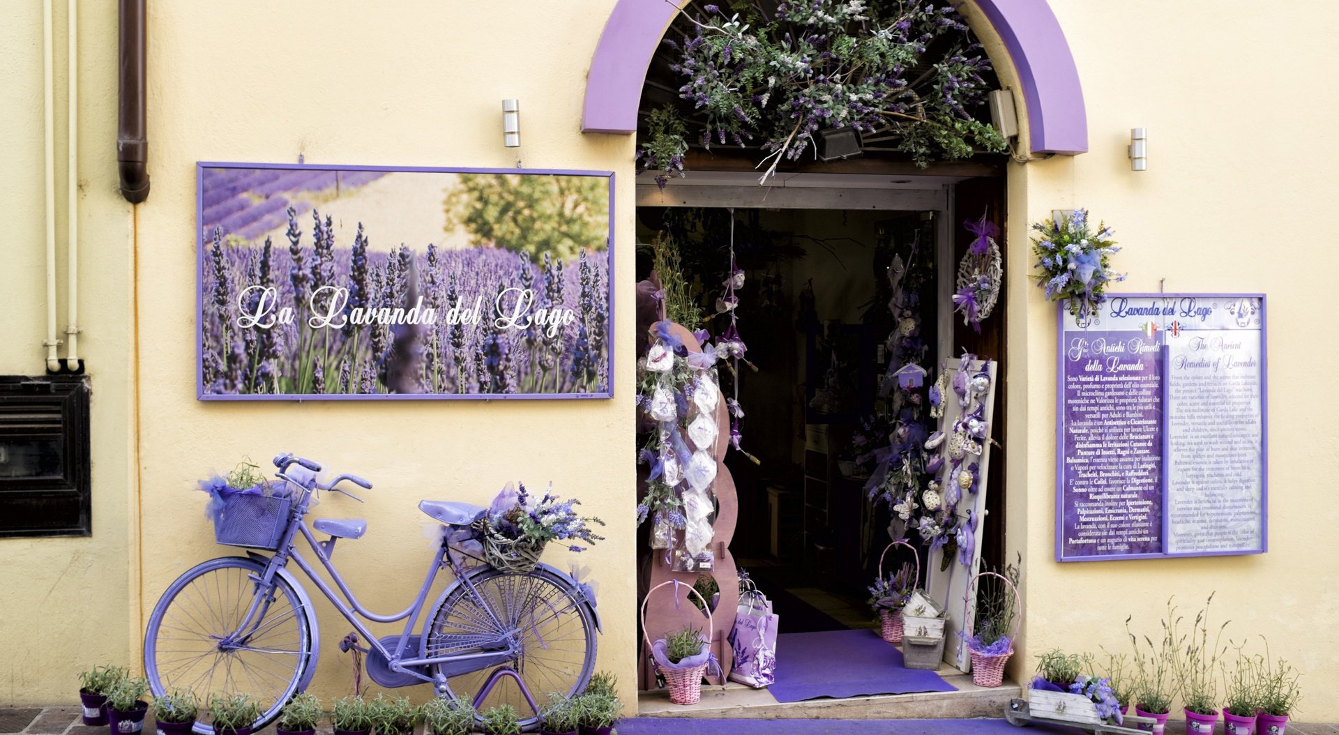 Download Store Lavender Vehicle Bicycle Wallpaper