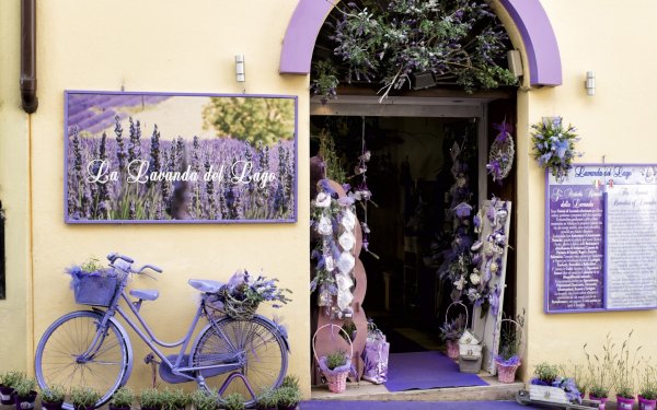 Vehicles Bicycle Lavender Store HD Wallpaper | Background Image