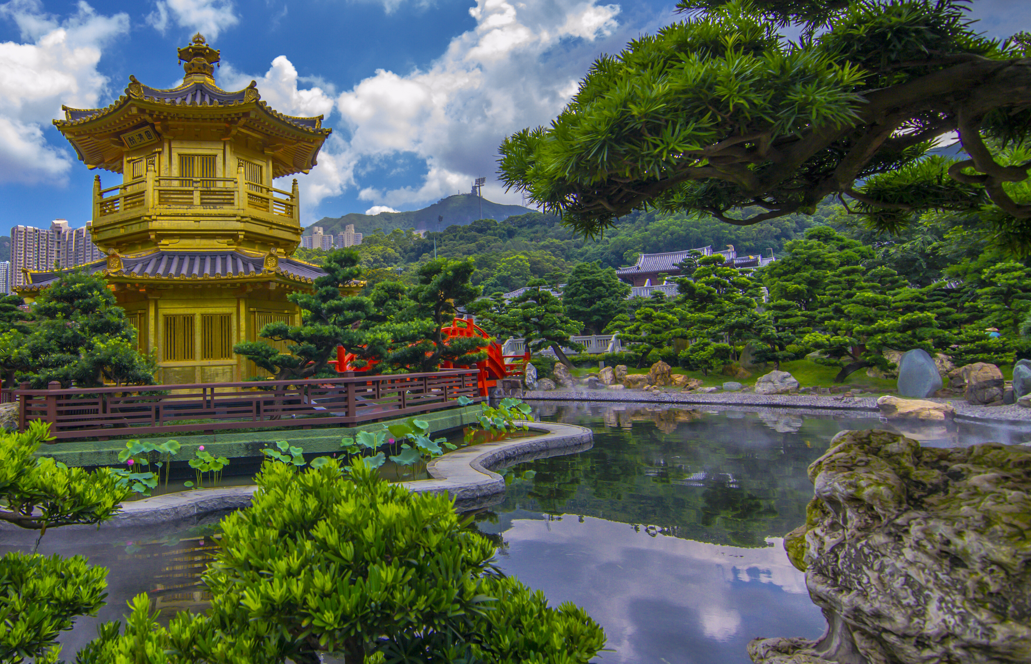 Photography Park HD Wallpaper | Background Image