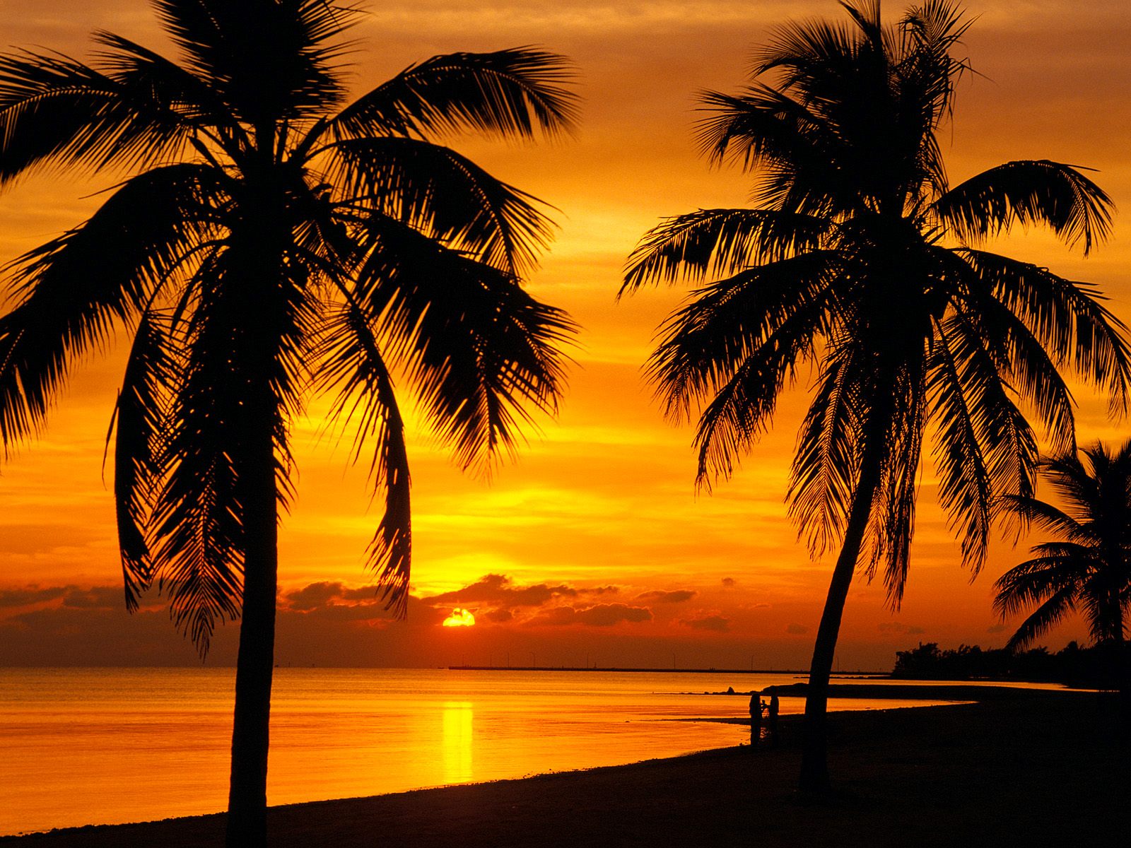 Thưởng thức những phút giây lặng lẽ cùng bình minh hoàng hôn tuyệt đẹp ở Key West Sunset. Hãy chìm đắm vào khoảnh khắc đó để thấy sự tươi trẻ và thanh tịnh của cuộc sống.