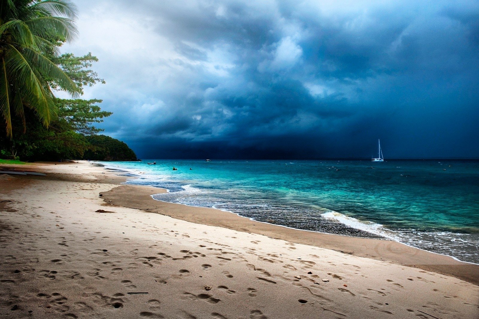 Download Blue Cloud Sky Sea Ocean Palm Tree Tropical Nature Beach  Wallpaper