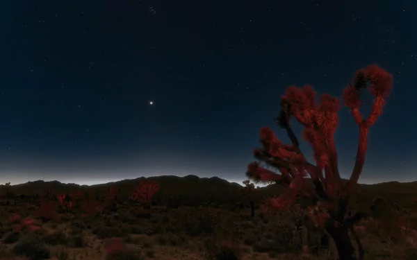  Stellar Mojave Night