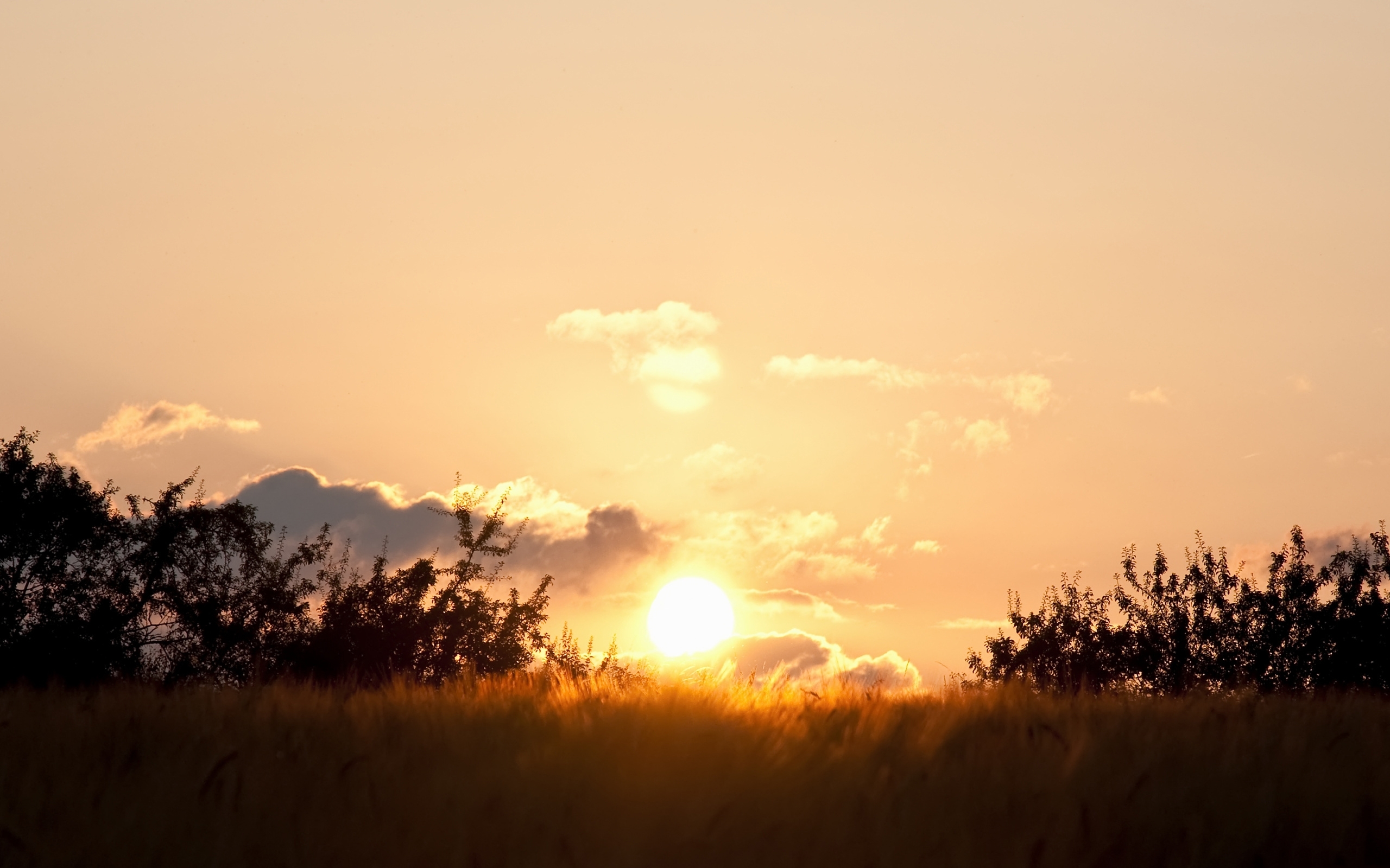 Nature Sunset HD Wallpaper | Background Image