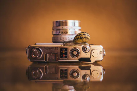 snail reflection man made camera HD Desktop Wallpaper | Background Image