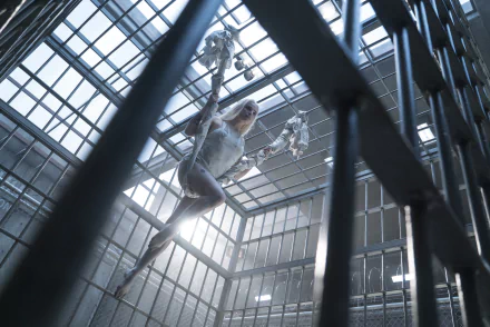 Harley Quinn, played by Margot Robbie, is suspended inside a jail cell in a scene from the movie Suicide Squad. The image is a HD desktop wallpaper and background.