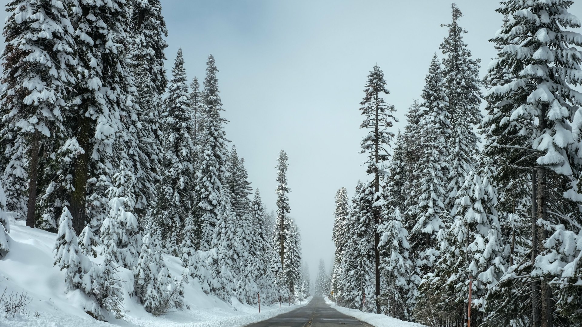 Download Tree Snow Winter Earth Man Made Road 4k Ultra HD Wallpaper ...