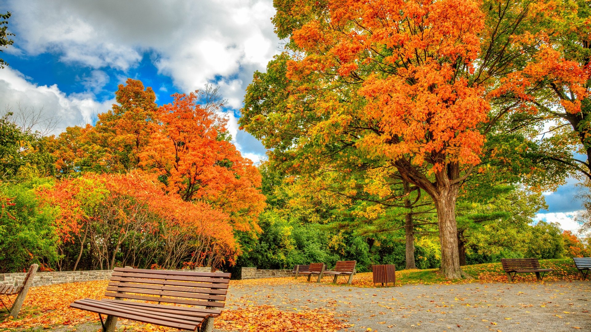 Ghế đá công viên mùa thu là một trong những hình ảnh đẹp và lãng mạn nhất của mùa thu. Hãy tận hưởng khoảnh khắc thư giãn trên những ghế đá yên bình, trước một khung cảnh đầy nắng vàng của lá, và tận hưởng khoảnh khắc tuyệt vời trong ảnh của chúng tôi.