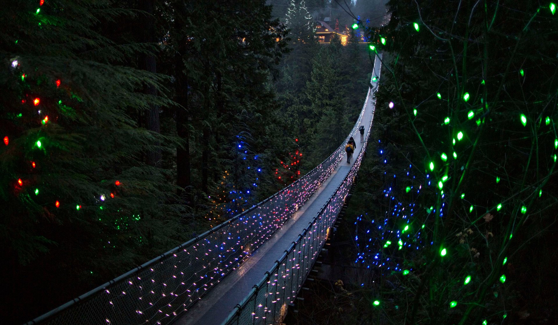 A vibrant suspension bridge adorned with colorful Christmas lights stretches through a forest in Canada, creating a magical winter scene.