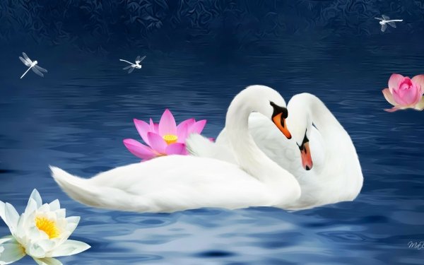 Animal Swan Birds Swans Love Couple Pond Dragonfly Lotus HD Wallpaper | Background Image