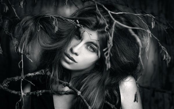Women Hair Model Black & White Brunette HD Wallpaper | Background Image