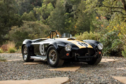 Black Ford AC Cobra with number 19 on the side, parked on a gravel path surrounded by greenery, showcased in a 4K Ultra HD PC desktop wallpaper.