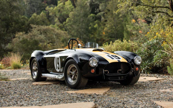 Black Ford AC Cobra with number 19 on the side, parked on a gravel path surrounded by greenery, showcased in a 4K Ultra HD PC desktop wallpaper.