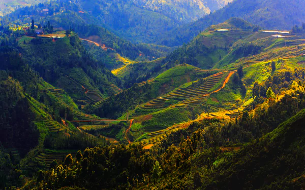HD wallpaper showing vibrant Thailand landscape with man-made rice terraces carved into lush green mountains under a clear sky.