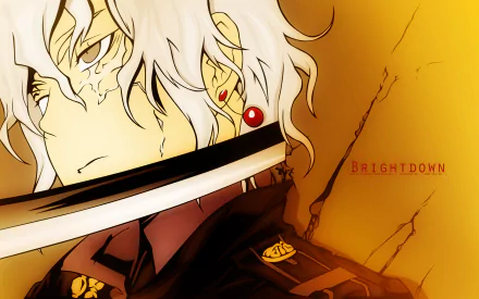 Allen Walker Anime D.Gray-man HD Desktop Wallpaper | Background Image