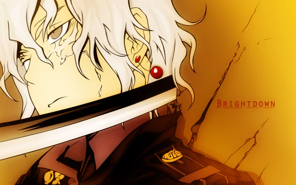 Allen Walker Anime D.Gray-man HD Desktop Wallpaper | Background Image