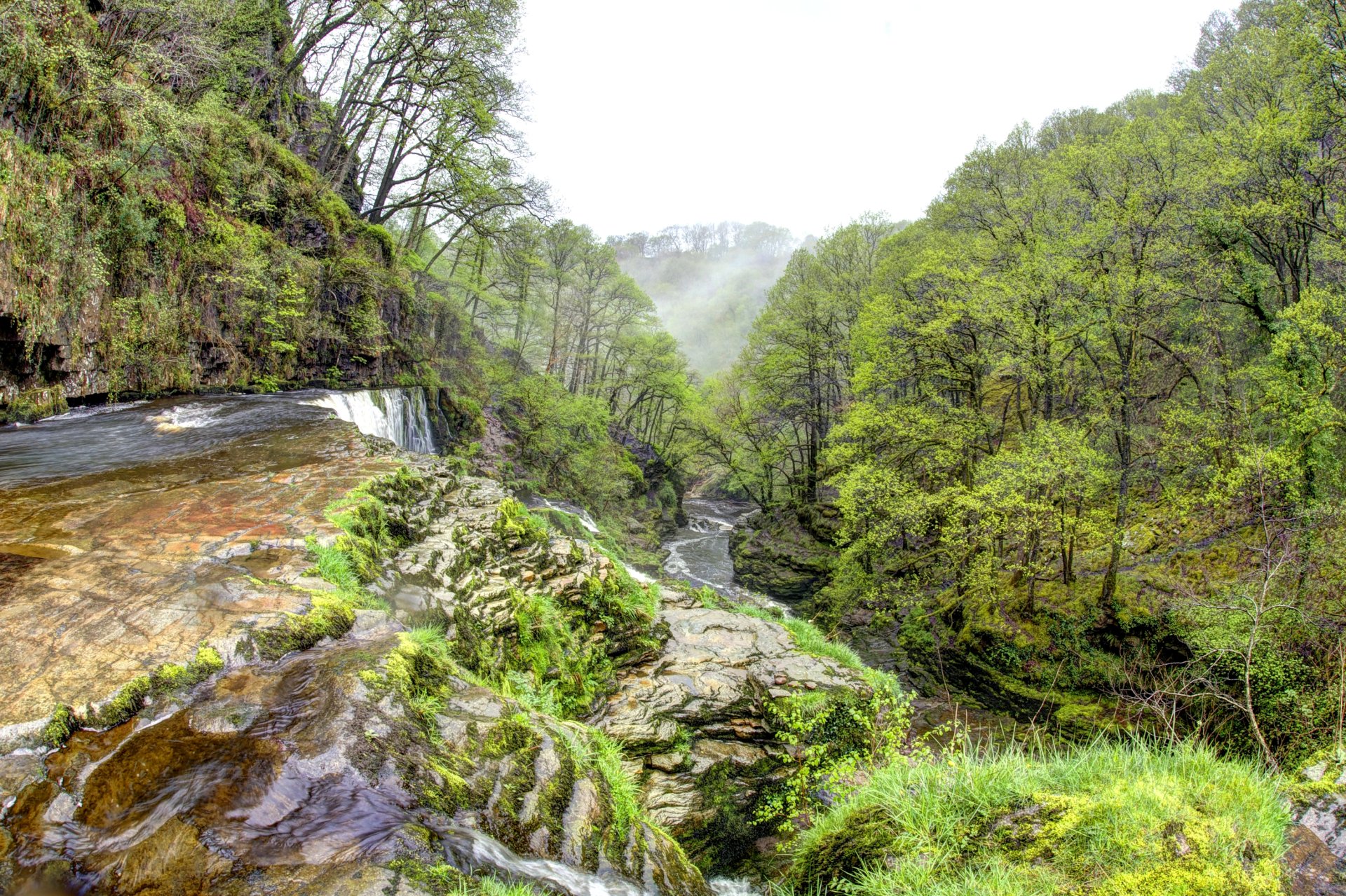 2K Quad HD PC wallpaper: misty morning in a Welsh forest, trees cloaked in fog above a cascading waterfall and rocky ravine in the United Kingdom.